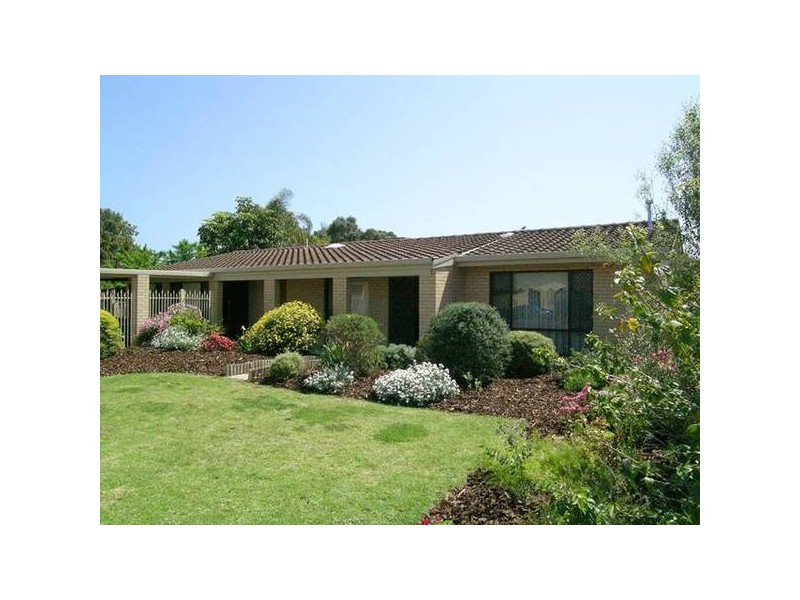 29 Masters Avenue, Marion SA 5043