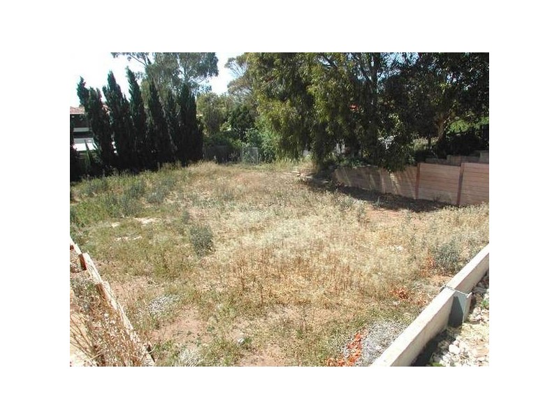 101, Don Avenue, Seacliff Park SA 5049