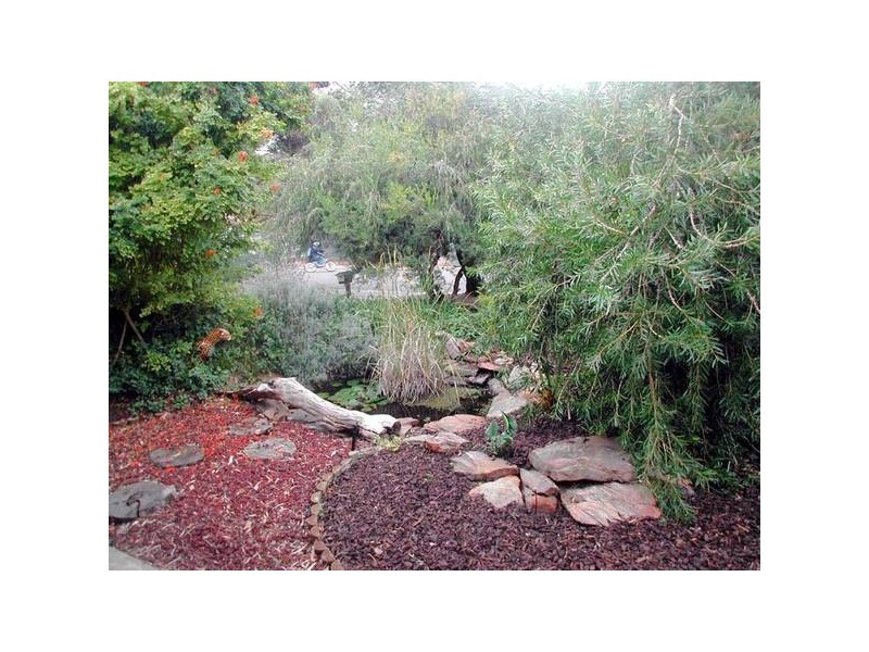 5 Carmela Avenue, Morphett Vale SA 5162