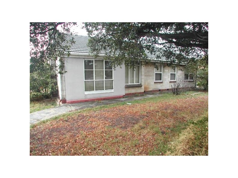 Park Holme SA 5043