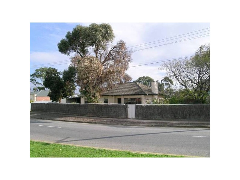 19 Rosedale Avenue, Morphettville SA 5043