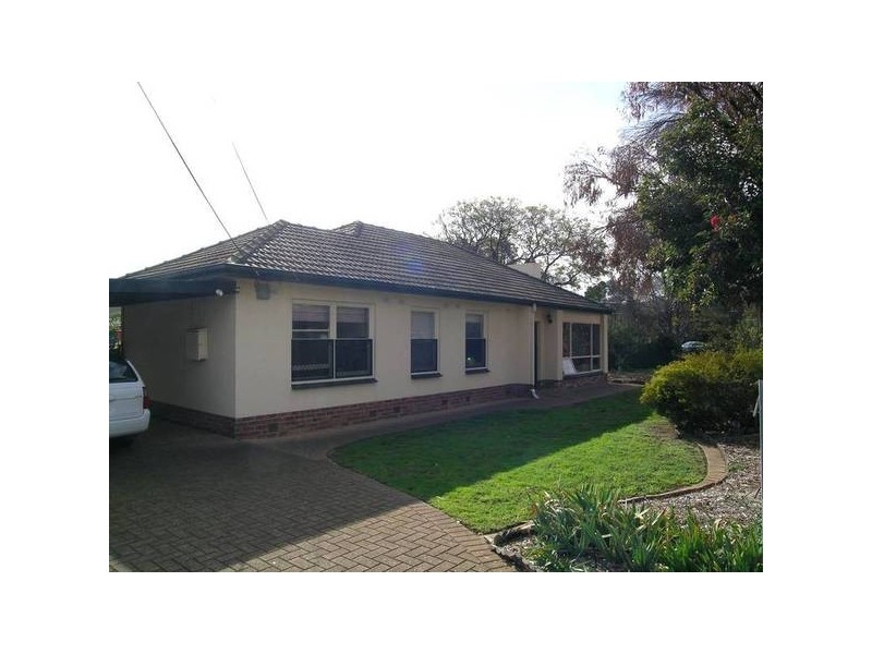 19 Rosedale Avenue, Morphettville SA 5043