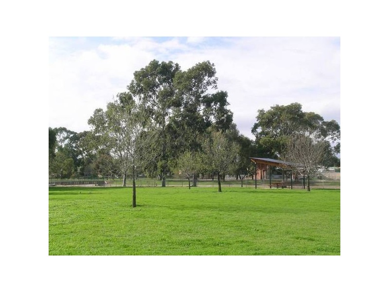 19 Rosedale Avenue, Morphettville SA 5043