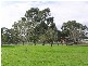 30 Rosedale Avenue, Morphettville SA 5043