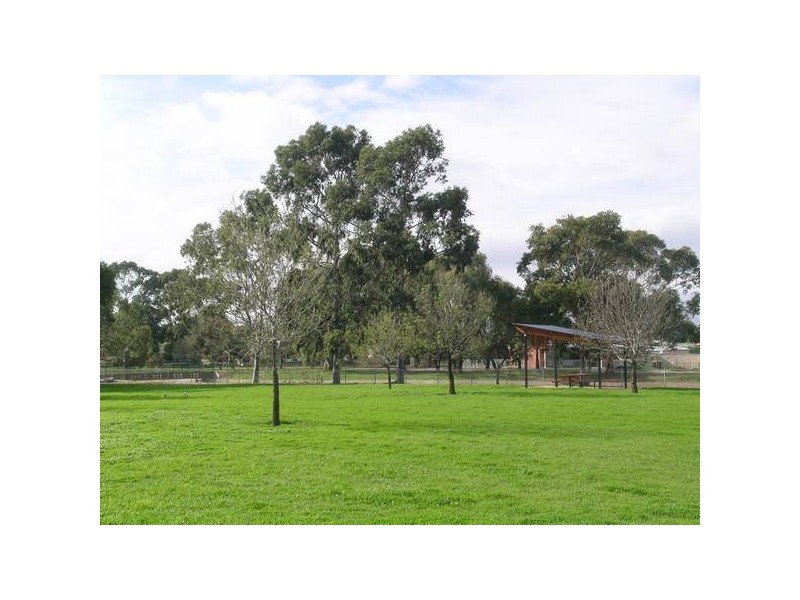 30 Rosedale Avenue, Morphettville SA 5043