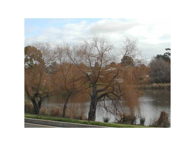 1 Mandalay Drive, Happy Valley SA 5159