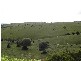 Hallett Cove SA 5158