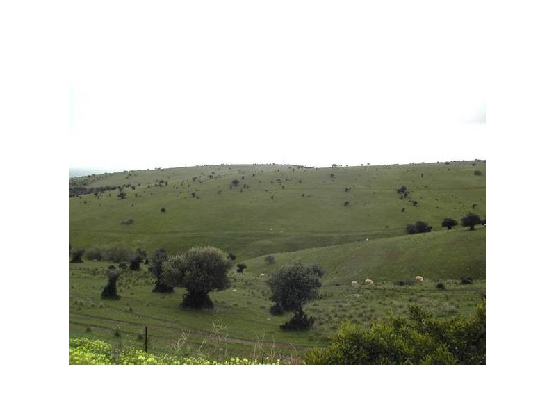 Hallett Cove SA 5158