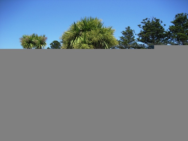 46 Campbell Street, Port Fairy VIC 3284