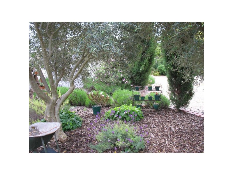 111 Commercial rd, Koroit VIC 3282
