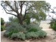 111 Commercial rd, Koroit VIC 3282