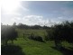 98 Princes Hwy, Port Fairy VIC 3284