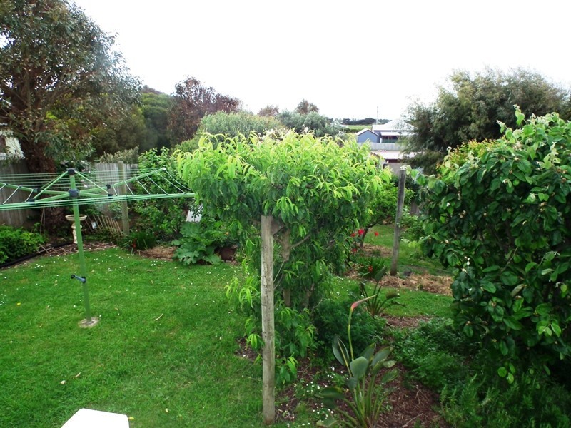 22 Jehu Street, Port Fairy VIC 3284
