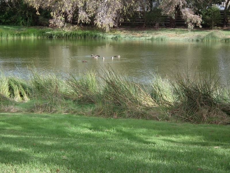Whalers Drive, Port Fairy VIC 3284