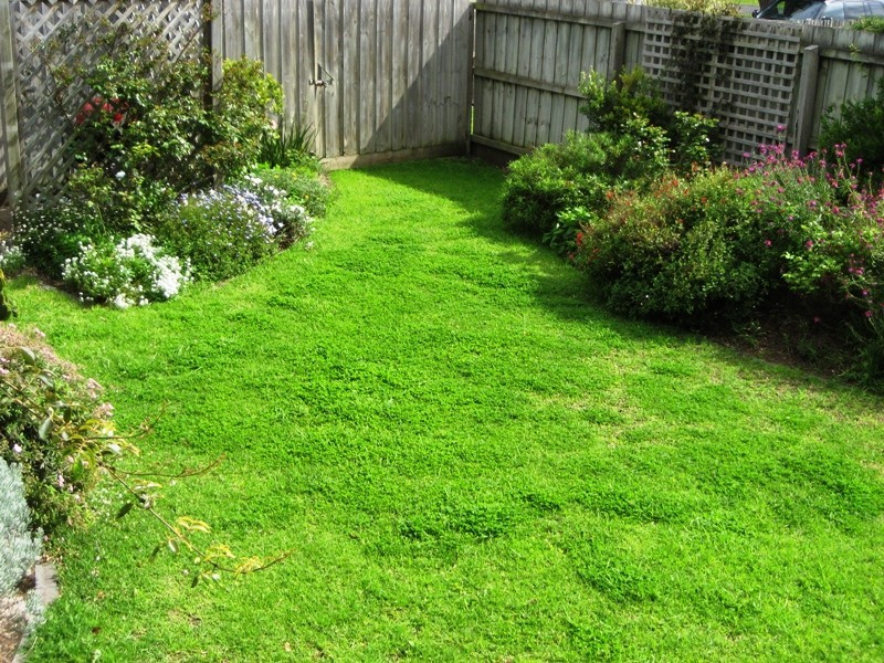 2/145A GRIFFITH STREET, Port Fairy VIC 3284