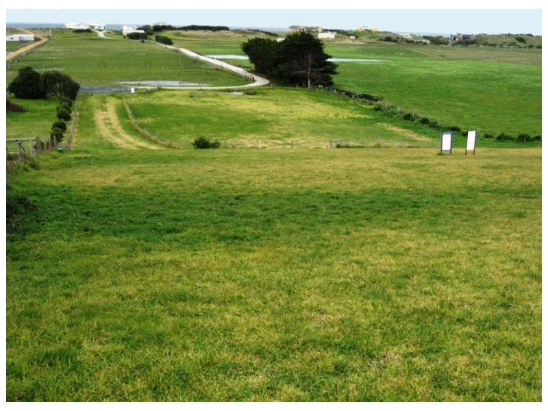 - Thistle Place, Port Fairy VIC 3284