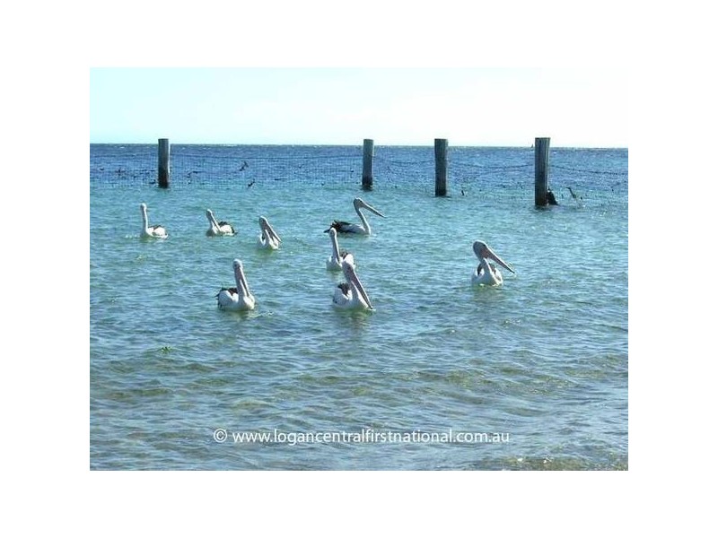 47 Gonzales Street, Amity Point QLD 4183