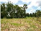 Loganlea QLD 4131