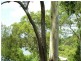 12 Blue Water Crescent, Macleay Island QLD 4184