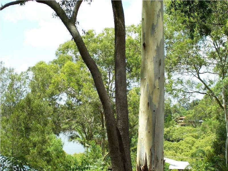 12 Blue Water Crescent, Macleay Island QLD 4184