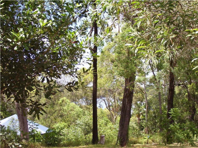 12 Blue Water Crescent, Macleay Island QLD 4184