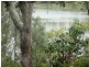 14 Timothy Street, Macleay Island QLD 4184