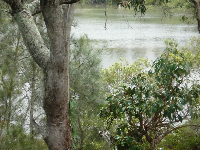 14 Timothy Street, Macleay Island QLD 4184