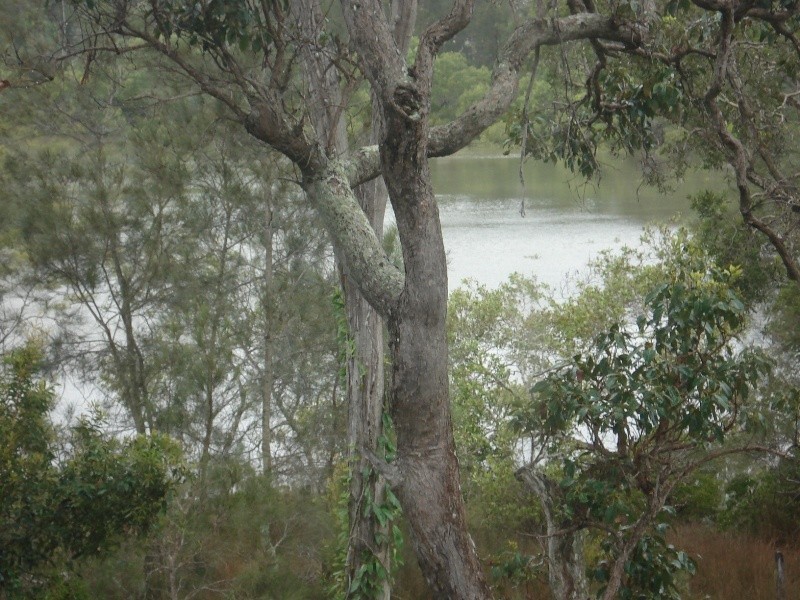 14 Timothy Street, Macleay Island QLD 4184