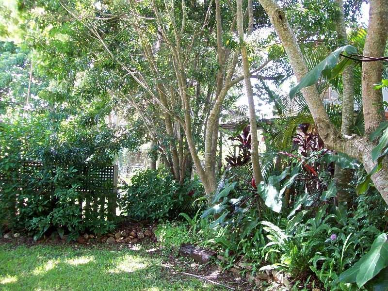 41 High Central Road, Macleay Island QLD 4184