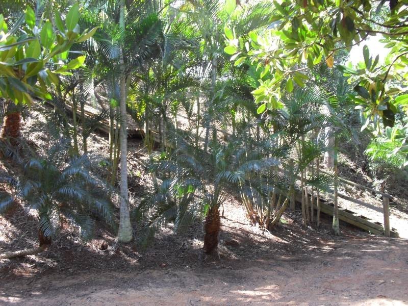 106 Western Road, Macleay Island QLD 4184