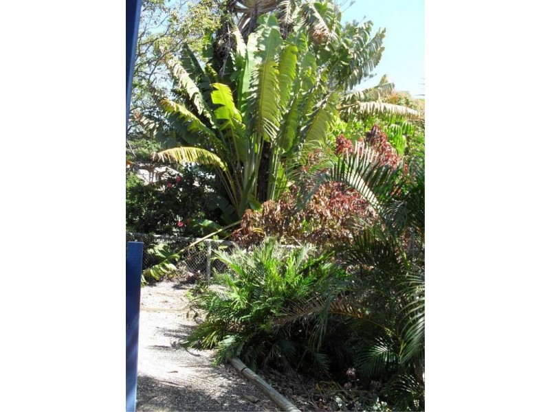 2 Quail Place, Macleay Island QLD 4184