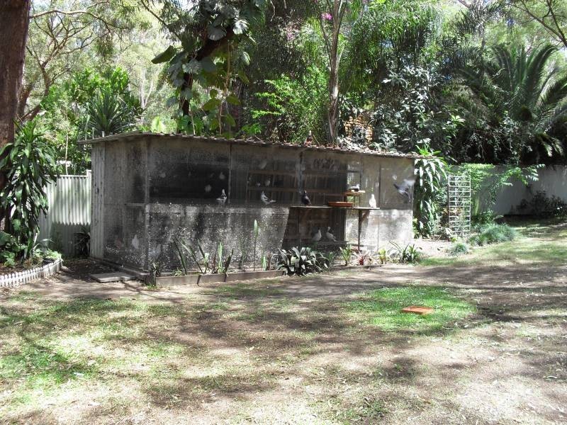 3-5 Ibis Street, Macleay Island QLD 4184