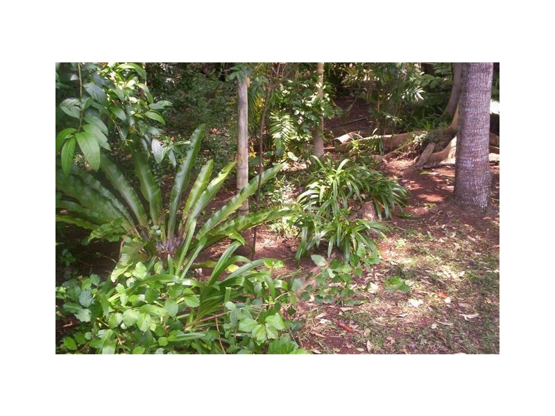 6-10 Con Street, Macleay Island QLD 4184