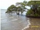 20 Koonwarra Parade, Macleay Island QLD 4184