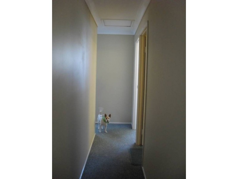 55 Jean Street, Woodridge QLD 4114