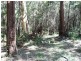 1 Natone Terrace, Macleay Island QLD 4184
