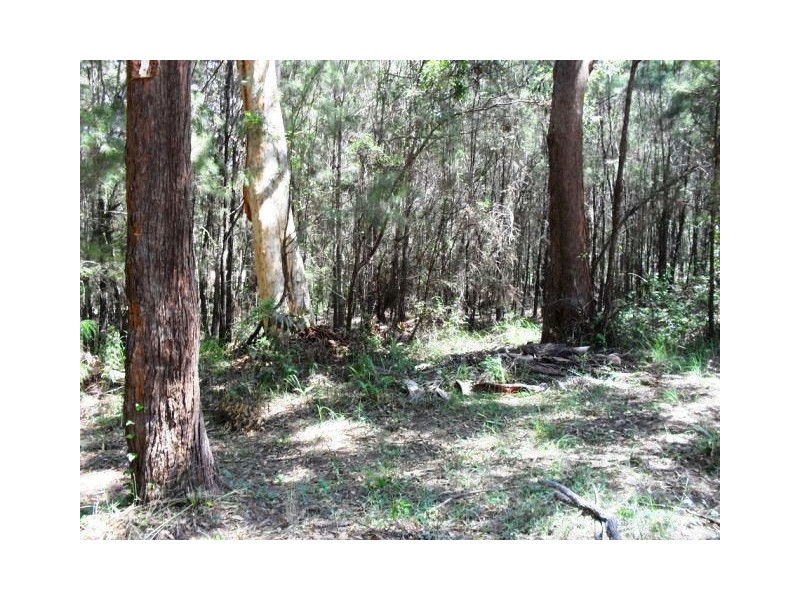 1 Natone Terrace, Macleay Island QLD 4184