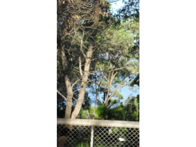 62 Beelong Street, Macleay Island QLD 4184