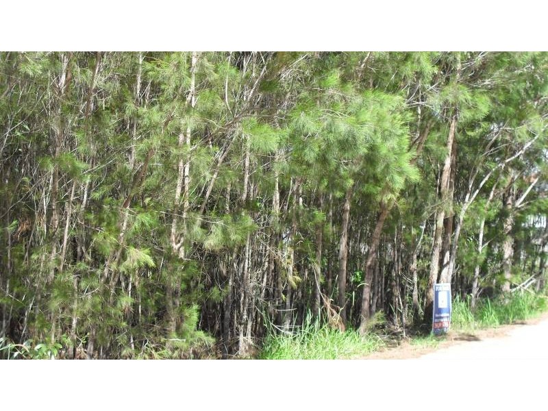 146 Kate Street, Macleay Island QLD 4184