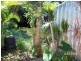 2 Heath Street, Macleay Island QLD 4184