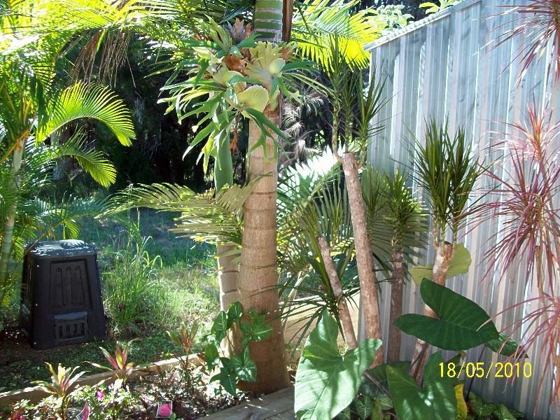 2 Heath Street, Macleay Island QLD 4184