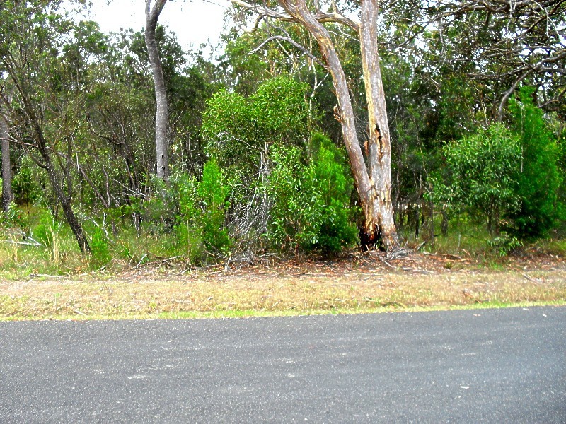 31 Barramundi Street, Macleay Island QLD 4184