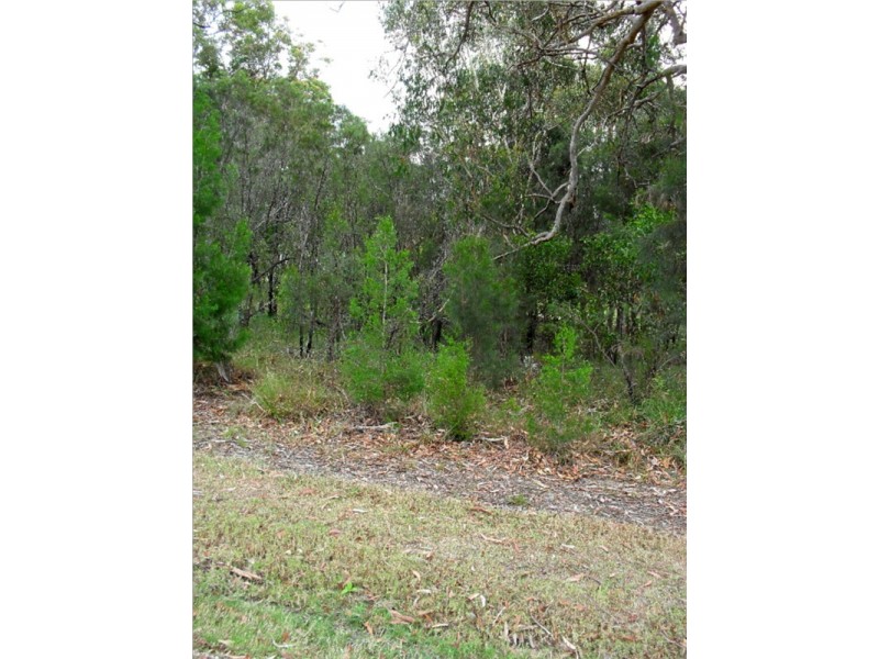 31 Barramundi Street, Macleay Island QLD 4184