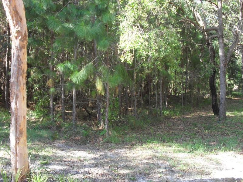 42 Alexander, Macleay Island QLD 4184