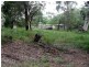 16 Tukkeri Street, Macleay Island QLD 4184