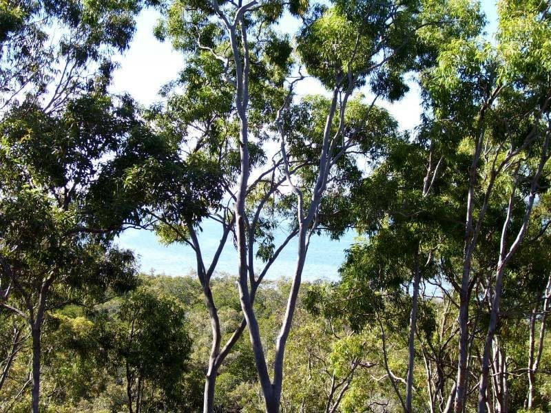 36 Blue Water Crescent, Macleay Island QLD 4184