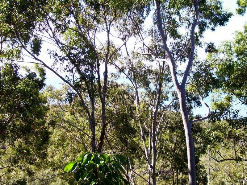 36 Blue Water Crescent, Macleay Island QLD 4184