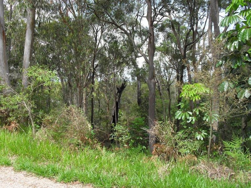 21 Charles Terrace, Macleay Island QLD 4184