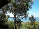 14 Emily Crescent, Macleay Island QLD 4184