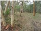 10 Wirralee Street, Macleay Island QLD 4184